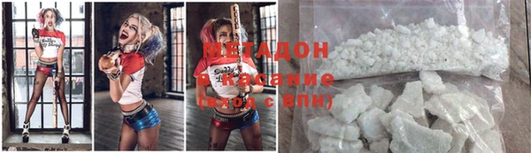 индика Абаза