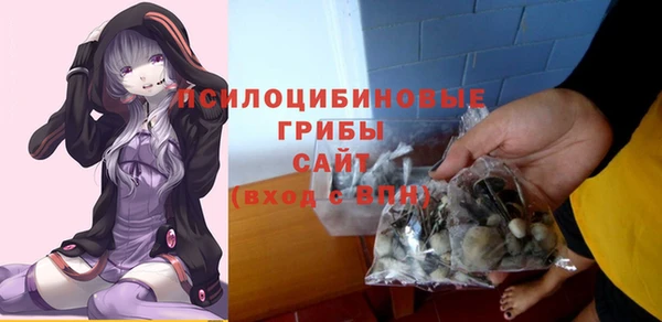 spice Абинск