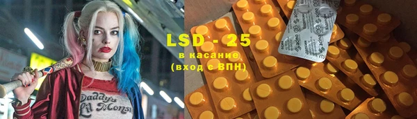 индика Абаза