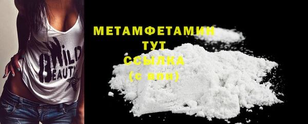 индика Абаза