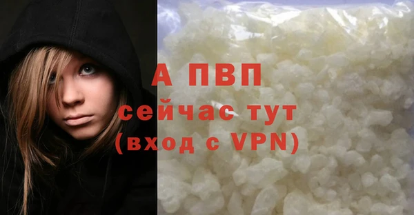 индика Абаза