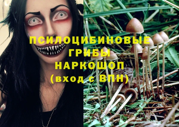 индика Абаза