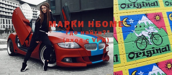 индика Абаза