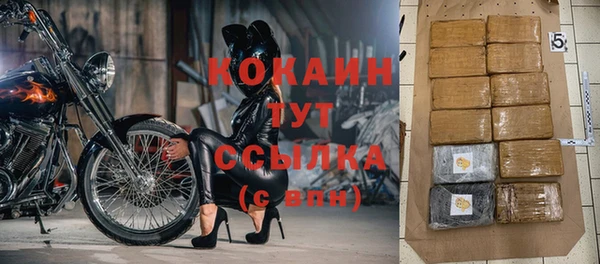 индика Абаза
