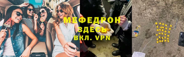 индика Абаза