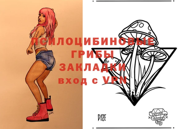 индика Абаза