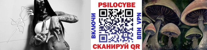 хочу наркоту  маркетплейс официальный сайт  Галлюциногенные грибы прущие грибы  Щёкино 